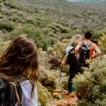 Hikers trek through a lush green landscape, enjoying a nature trail with backpacks and walking sticks.